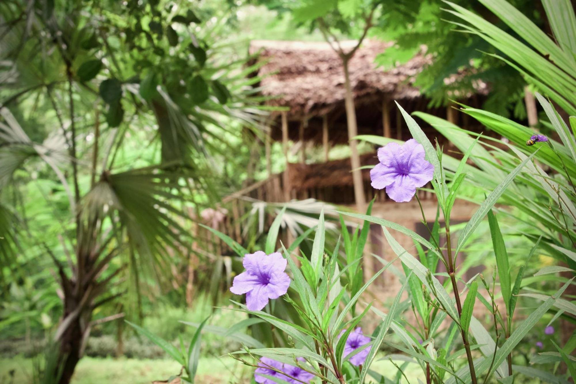 Baker Safari Company Villa Kwangwazi Kültér fotó