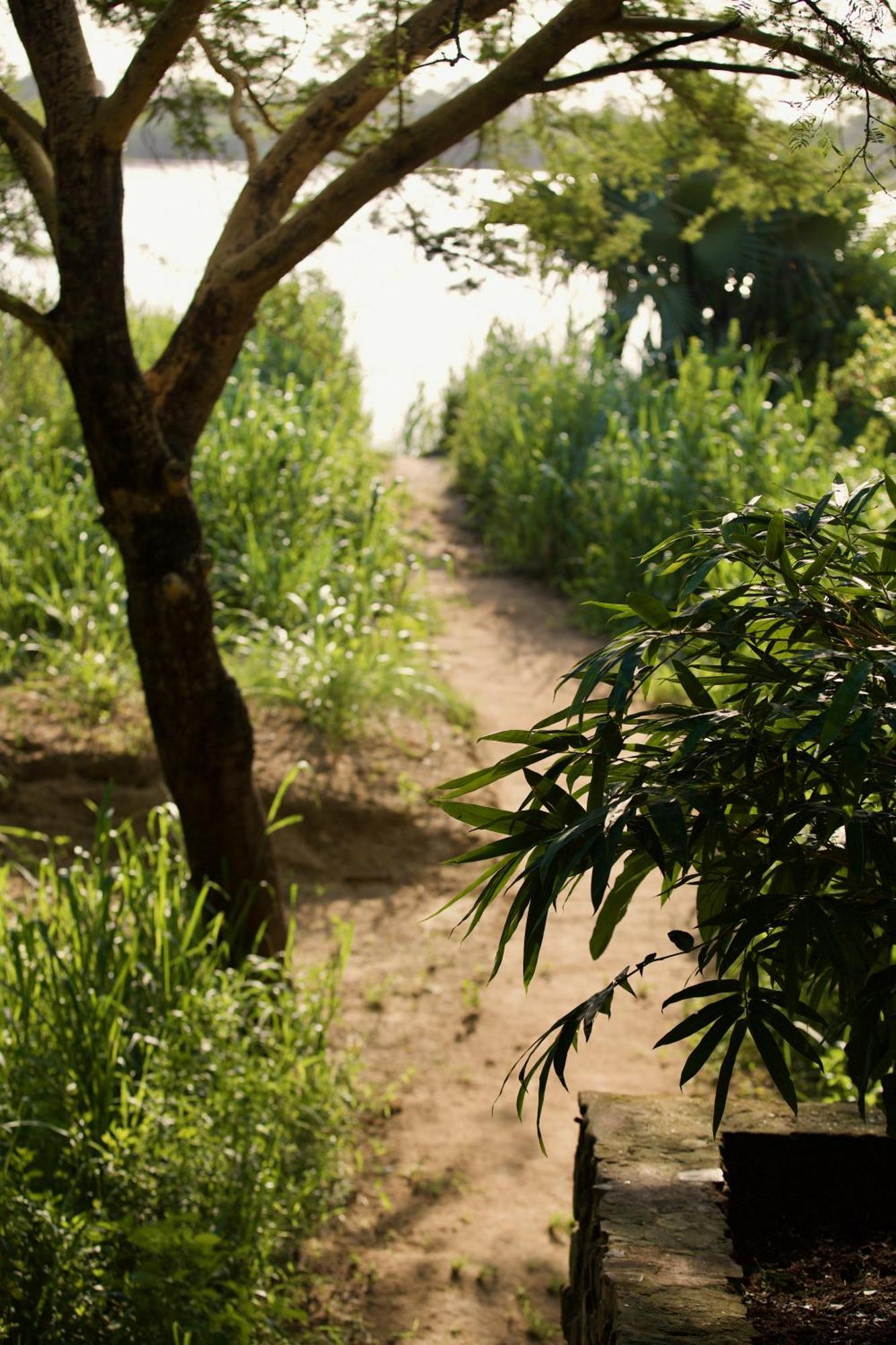 Baker Safari Company Villa Kwangwazi Kültér fotó